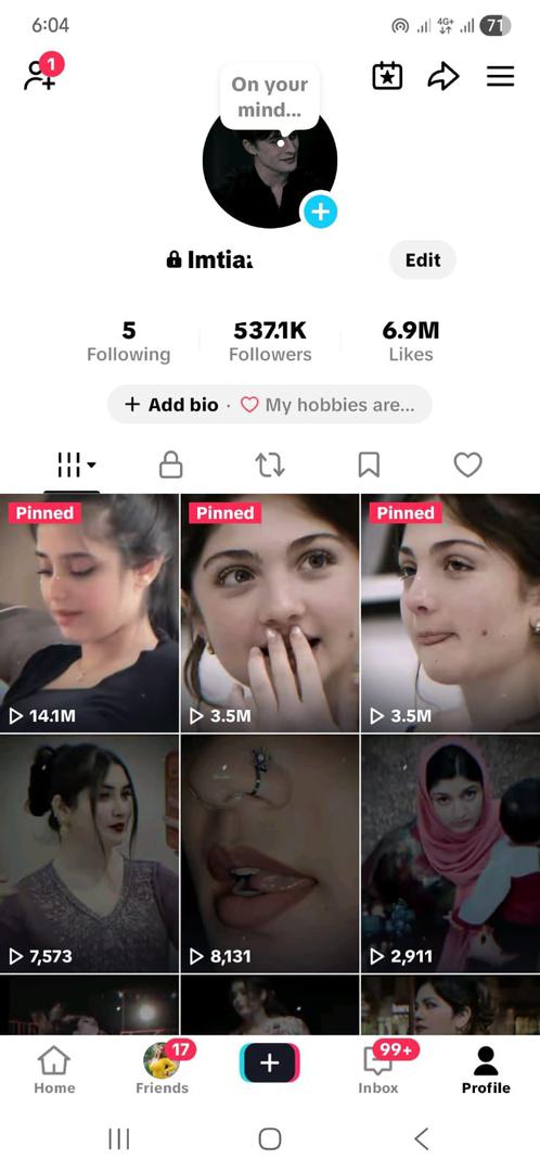 Germany tiktok 537k followers high quality