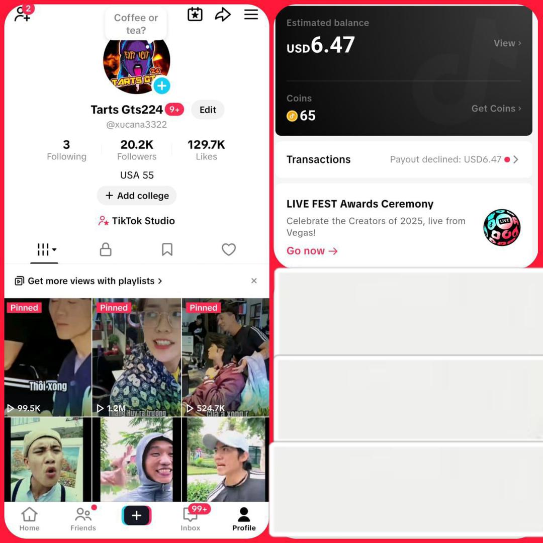 Old tiktok 20k followers high quality