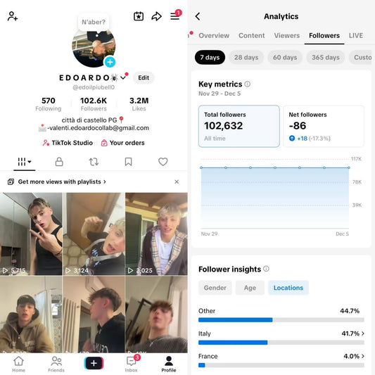 USA tiktok 100k followers
