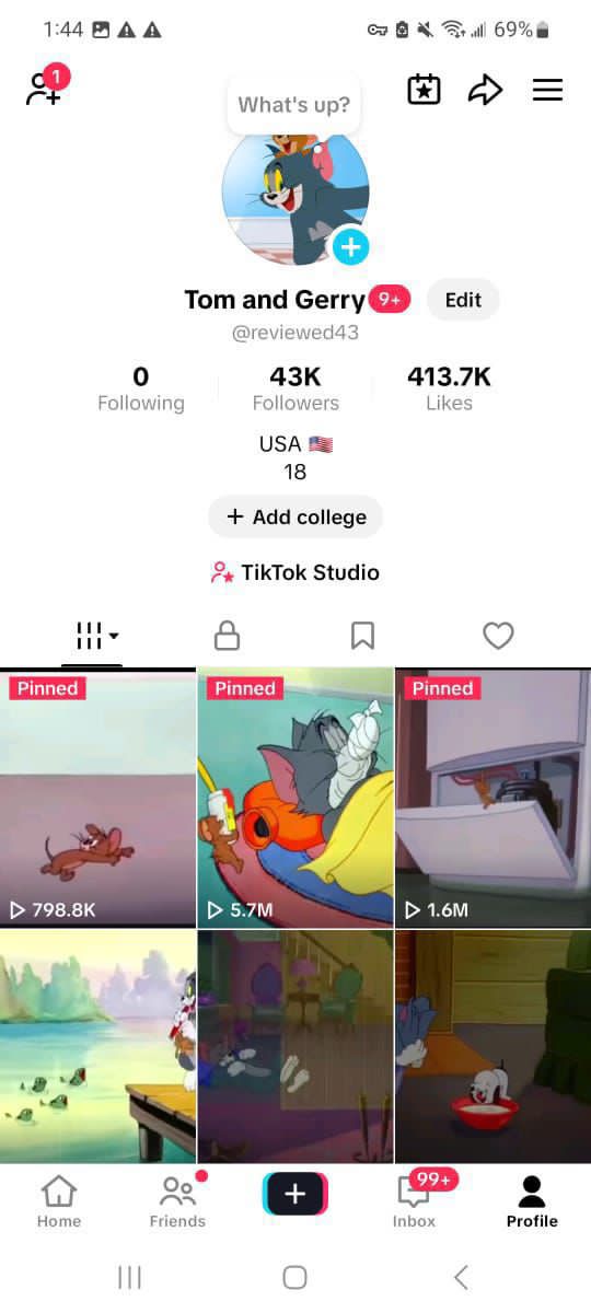 Old USA tiktok 43k followers high quality