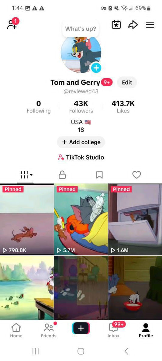 Old USA tiktok 43k followers high quality