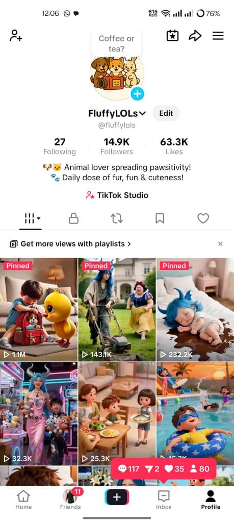 Tiktok 14k followers high standard