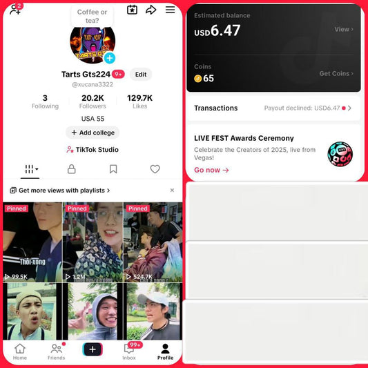 Old tiktok 20k followers high quality