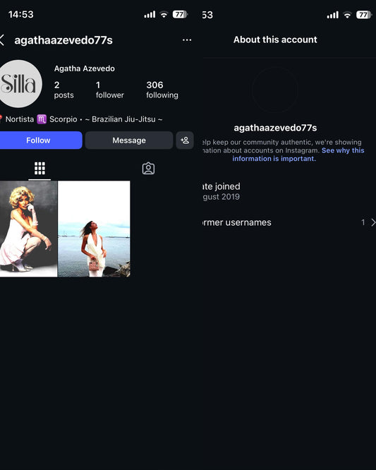 USA Instagram empty or few followers